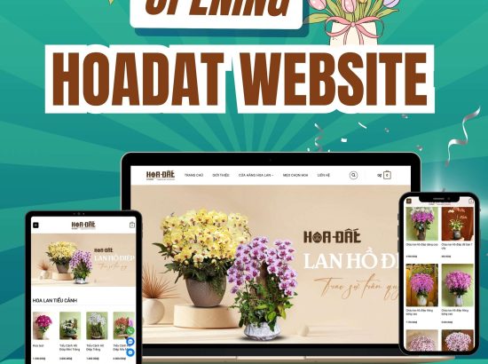 MONAB HỢP TÁC CÙNG HOA ĐẤT FLOWER